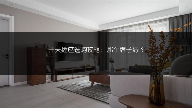 开关插座选购攻略:哪个牌子好?