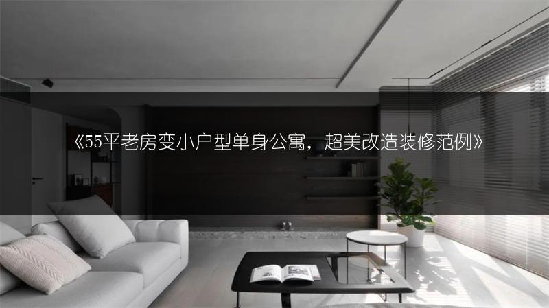 55平老房变小户型单身公寓，超美改造装修范�