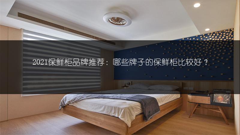 2021保鲜柜品牌推荐:哪些牌子的保鲜柜比较好?