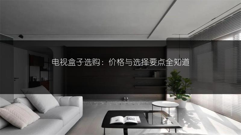 电视盒子选购：价格与选择要点全知道