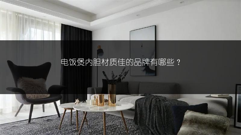 电饭煲内胆材质佳的品牌有哪些？