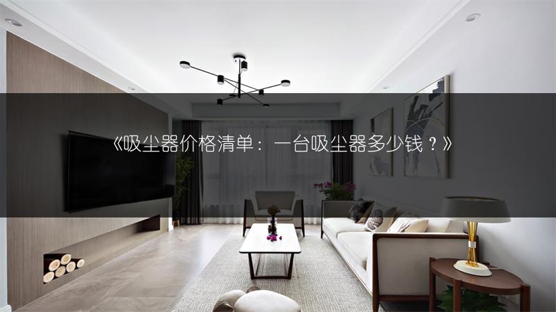 吸尘器价格清单：一台吸