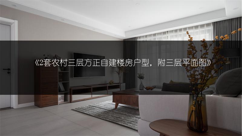 《2套农村三层方正自建楼房户型，附三层平面图》