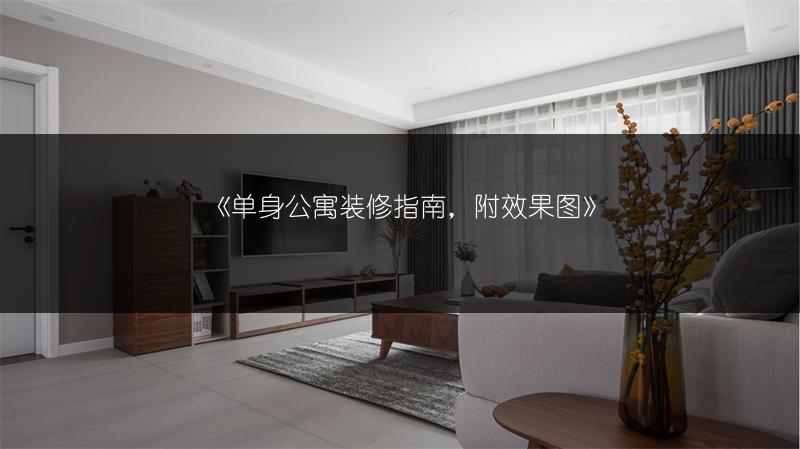 单身公寓装修指南