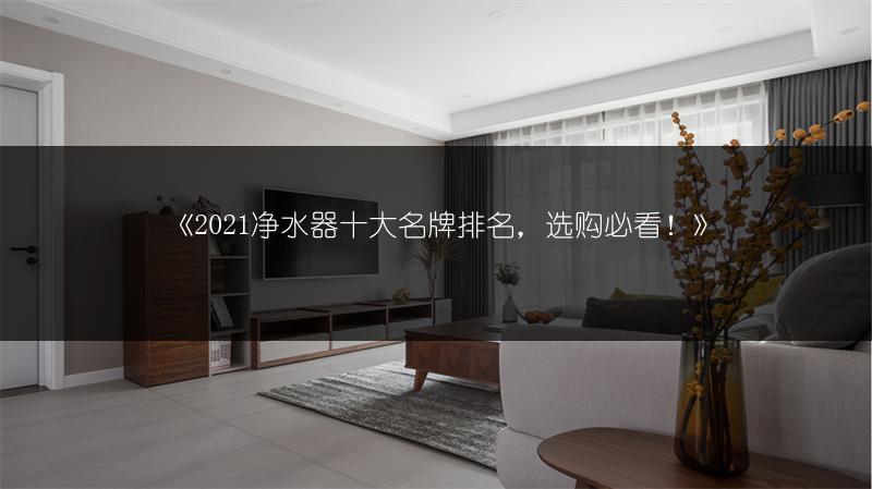 《2021净水器十大名牌排名,选购必看!》