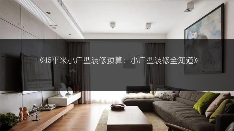 45平米小户型装修预算：小