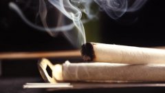 艾叶熏房间，让你的居住环境终于远离病菌？