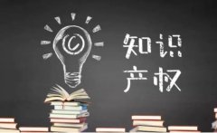 产权比率大揭秘！到底多少才是最佳选择？